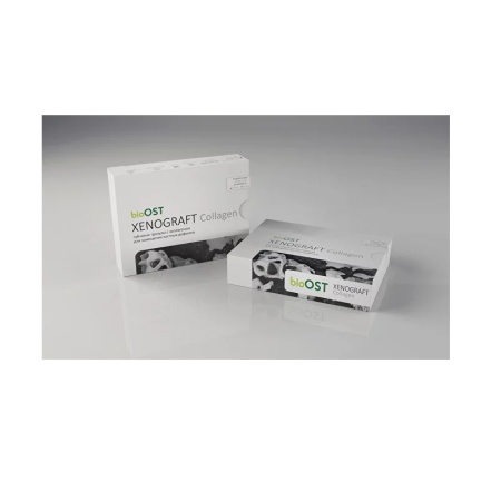 bioOST XENOGRAFT Collagen (гранулы с коллагеном) 1.0-2.0мм, 3 см3, XCol-2-3